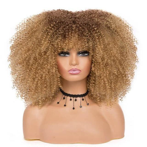 Short Afro Curly Lace Wig - Anellace Short Afro Curly Lace Wig - Anellace