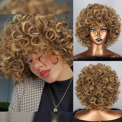 Lace Front Short Curly Wig