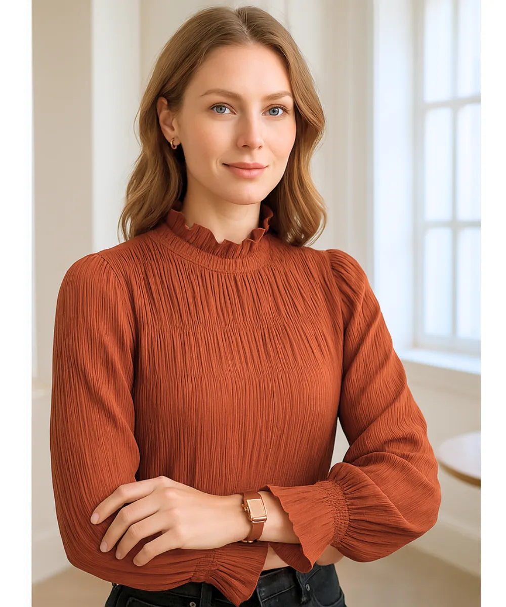Comprar blusa feminina social manga longa terracota de chiffon com gola alta elegante para looks sofisticados e ocasiões formais barato ANELLIMN
